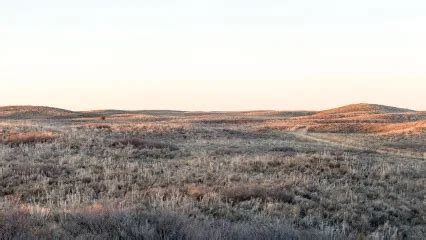 Beaver River WMA | Oklahoma Department of Wildlife Conservation