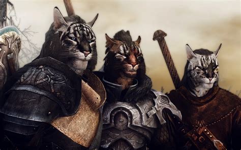 [PvE] Best and most enjoyable stamina class for a Khajiit at endgame ...