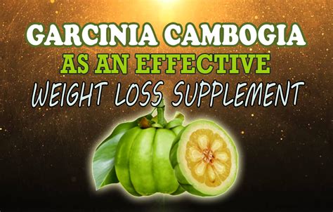 Garcinia Cambogia as an Effective Weight Loss Supplement ...