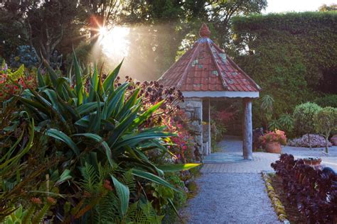 Tresco Abbey Garden - clivenichols.com