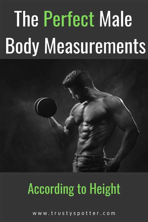 Perfect & Ideal Male Body Measurements According to Height + Examples ...