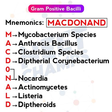 Trick to remember gram positive bacteria | Microbiology study, Medical ...