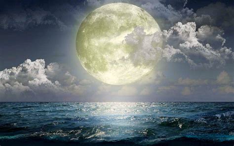 20+ Collection of Mesmerizing Moon Backgrounds | Design Trends ...