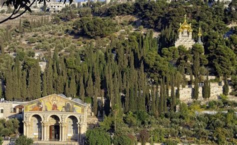 Mount of Olives, Jerusalem | Tickets & Tours - 2024