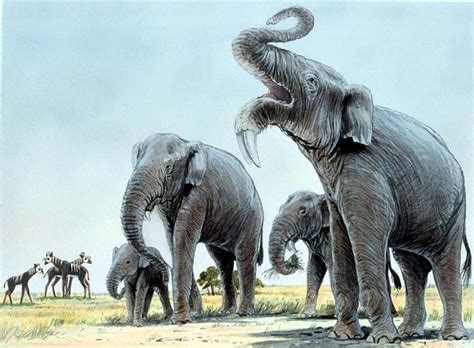 miocene animals - Google zoeken Prehistoric World, Prehistoric Creatures, Paleontology ...