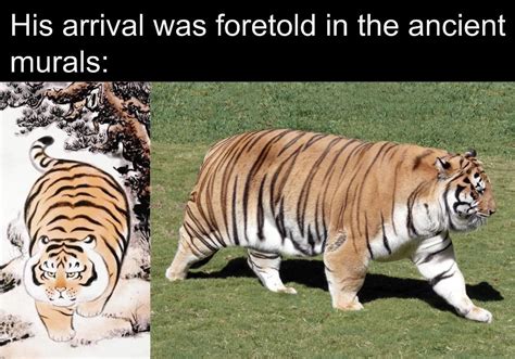 Saw this on r/memes the tiger that tiger king made : r/LoverFella