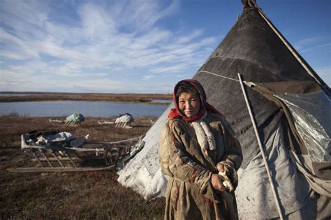 The Nenets of Siberia - Survival International