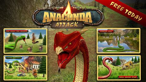 Wild Anaconda Attack on Behance