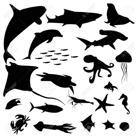 Aquatic life silhouettes pack | Leben im wasser, Ozeankunst, Kunstthema