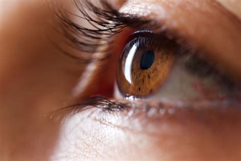 5 Surprising Diseases That Eye Exams Can Detect | Reader's Digest