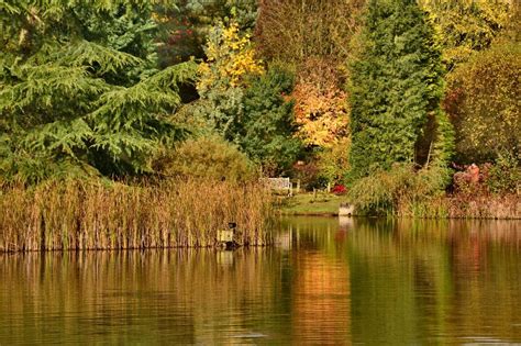 Bodenham Arboretum - Shropshire Tourism & Leisure Guide