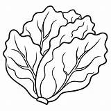 Lettuce vegetable Outline coloring book Page line Art Drawing  Premium sketch template