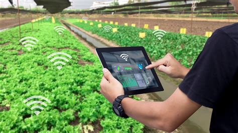 In Agriculture, Technological Advancement Will Usher In A New Era Of IoT Sensors And Smart ...