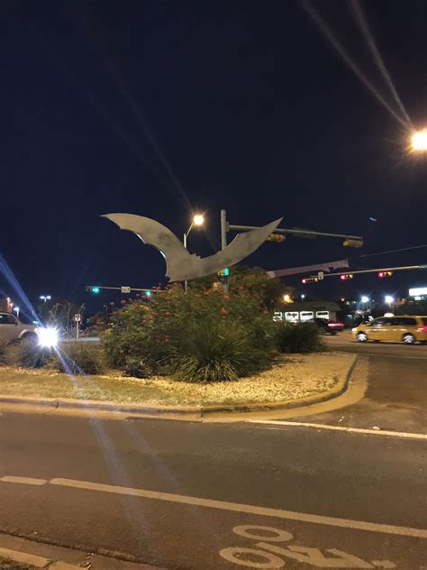 a bird statue sitting on the side of a road next to a street light at night