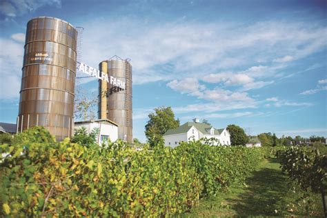 Alfalfa Farm - Winery Wedding Guide