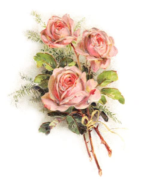 12+ Free Vintage Rose Images | Vintage roses, Background vintage, Rose ...