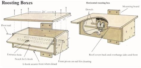 Bird Roost Plan One - Nighttime Shelter for Winter Birds | Bird house plans, Winter bird ...