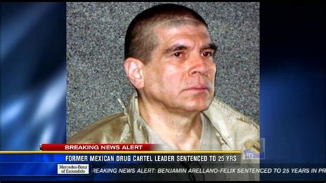 Former leader of Arellano Felix drug cartel sentenced to 25 year - CBS ...