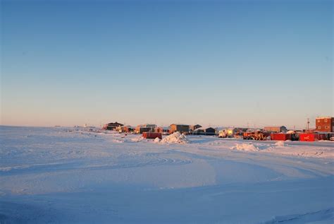 From Nunavut to San Francisco: Cambridge Bay company puts Arctic char ...