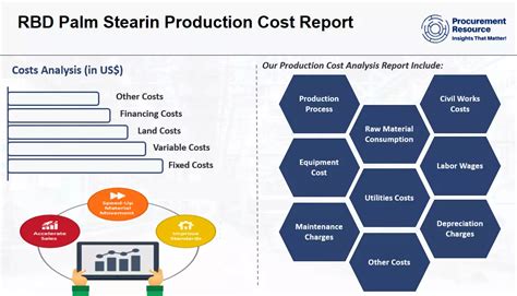 RBD Palm Stearin Production Cost Analysis Reports 2024