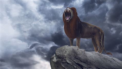 1360x768 Resolution Simba in The Lion King 2019 Movie Desktop Laptop HD Wallpaper - Wallpapers Den