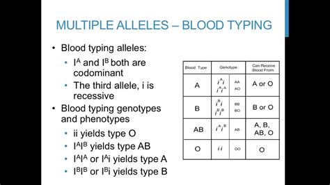 Blood Type Punnett Square Worksheet