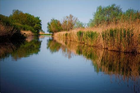 Imagini Delta Dunarii, Romania