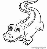 Cute Simple Alligator Coloring Page  Free Printable Pages sketch template