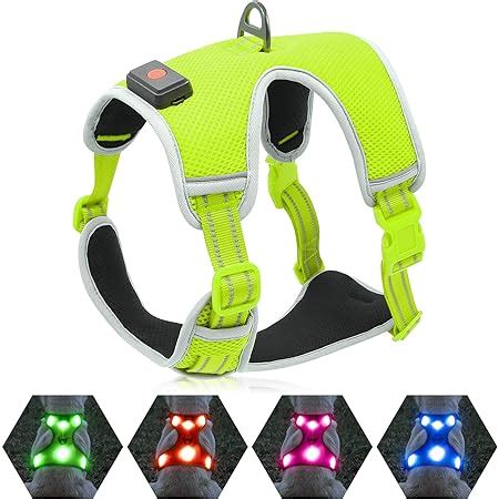 Amazon.com : Domi LED Dog Harness, USB Rechargeable Glowing Pet Harness ...