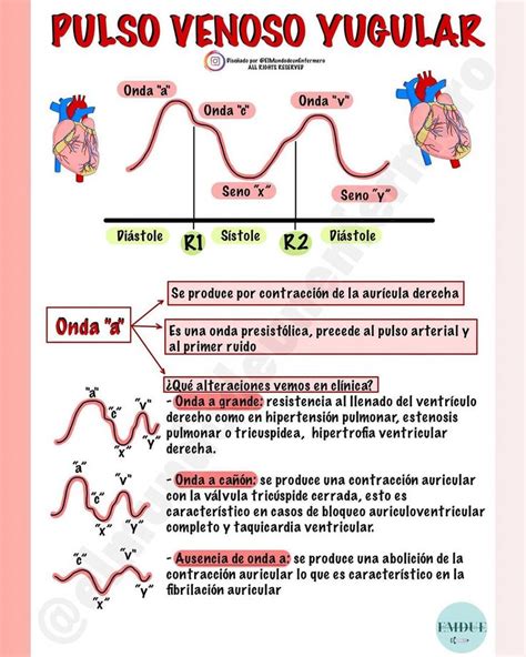 Pin en Enfermeria apuntes