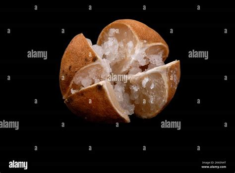 Lime and Salt mixed Sri Lankan home made lime pickle (Lunu dehi) isolated black Stock Photo - Alamy