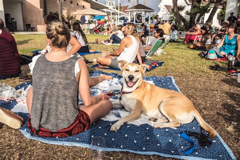 Carlsbad Music Festival Invades Seaside Village | The Fox Magazine