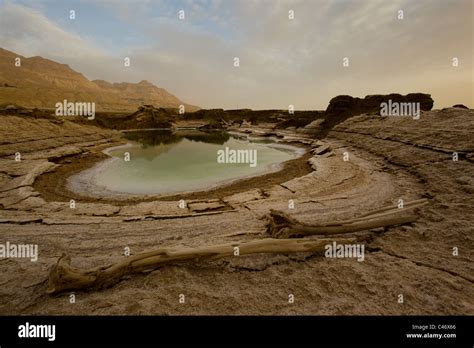 Photograph of the sinkholes of the Dead sea Stock Photo - Alamy