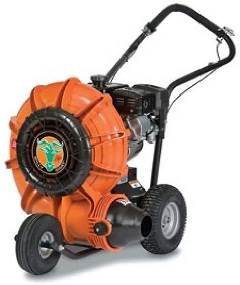 Best Walk Behind Leaf Blower - Reviews & Guide - The Proud Home