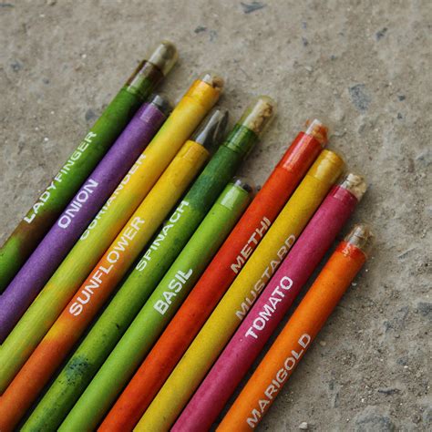 Plantable Seed Pencils - furut store