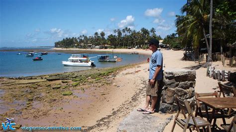 Praia do Forte - Litoral Norte da Bahia - Viagens e Caminhos