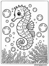 Free Printable Seahorse Coloring Pages sketch template