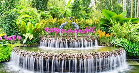 Audio guide BOTANIC GARDENS SINGAPORE - Introduction (EN) | MyWoWo