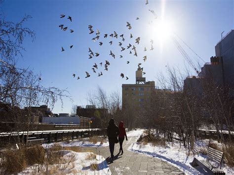 The Highline in Manhattan by @ariovazquez (With images) | New york ...