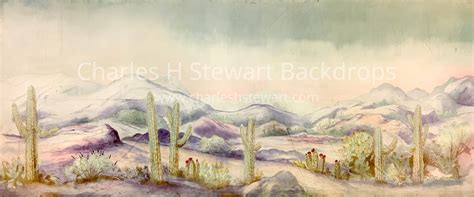 Western Desert Backdrop | Backdrops by Charles H. Stewart