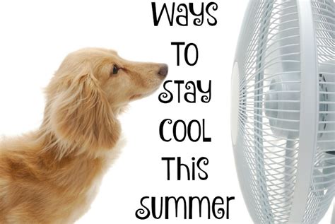 Five Ways to Stay Cool This Summer - Sippy Cup Mom