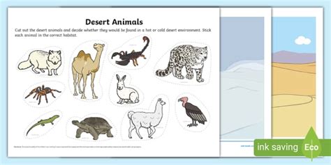 Desert Animals Cut and Stick Sorting Activity (teacher made)