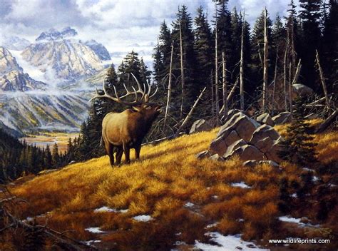 Wildlife Artist Derk Hansen Unframed Elk Art Print Wapati Symphony | WildlifePrints.com