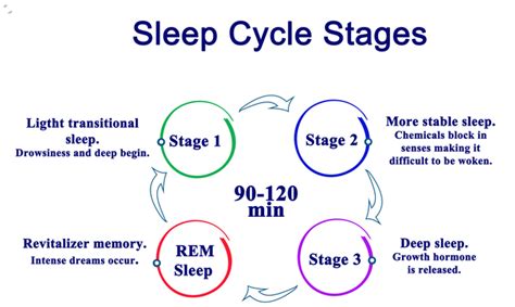 Newborn Sleep Basics - Eve Health