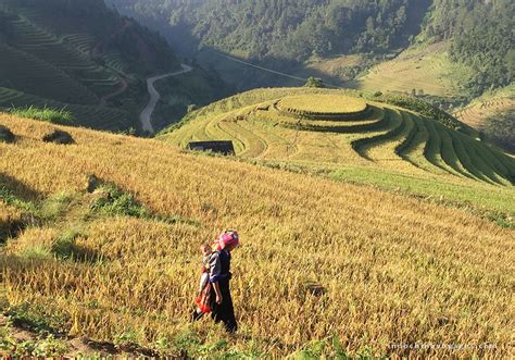 Escape the Crowds: Hagiang - Your Authentic Alternative to Sapa