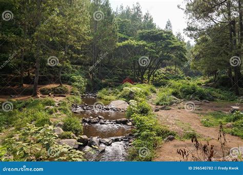 River Stream Waterfall in Forest Landscape at Bedengan Camping Ground ...