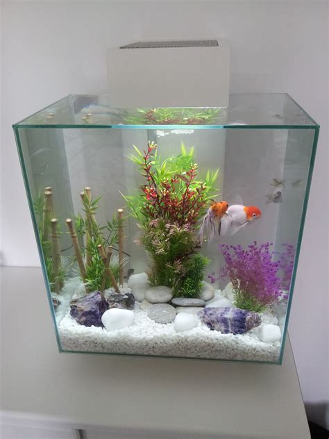 15 Gallon Fish Tank In Litres - Wese Aquarium Fish