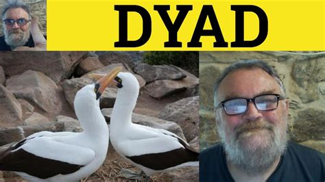 🔵 Dyad Meaning - Dyadic Definition - Dyad Examples - Formal Vocabulary - Dyad - YouTube