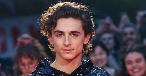 Timothee Chalamet Movies 2024 - Daune Laverne