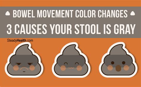 Bowel Movement Color Changes: 3 Causes Your Stool Is Gray | Gastrointestinal Disorders articles ...